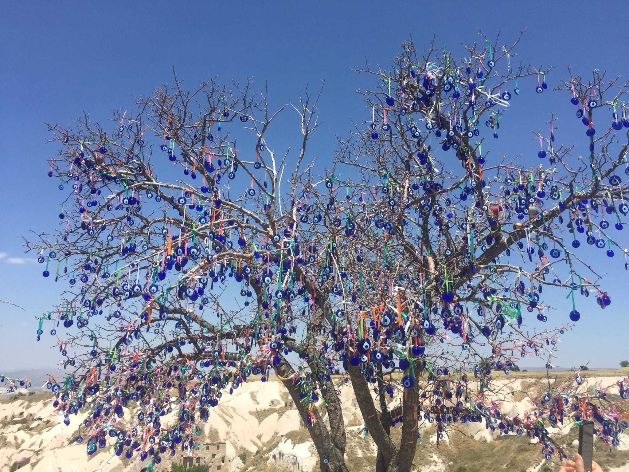 Evil Eye Tree